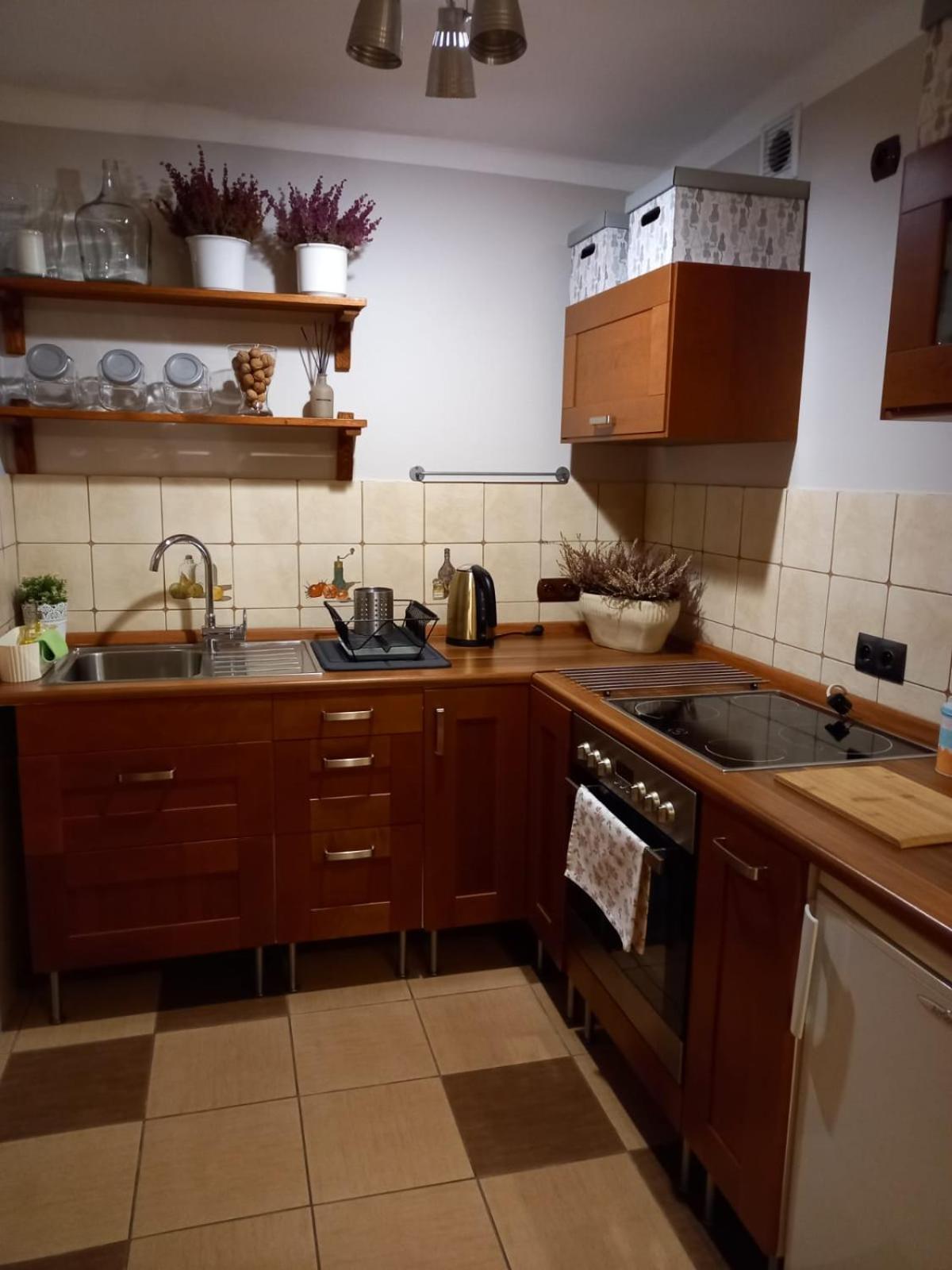 Apartamenty No3 Paczkow Esterno foto