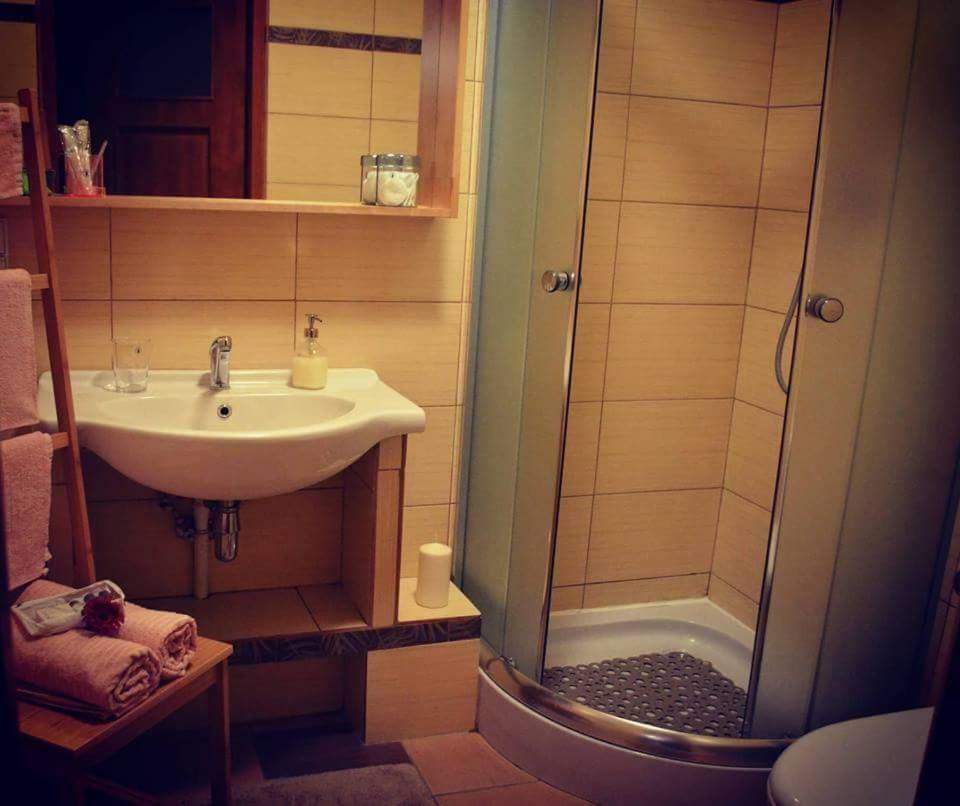Apartamenty No3 Paczkow Esterno foto